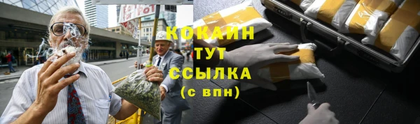 твердый Вязьма
