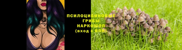 твердый Вязьма