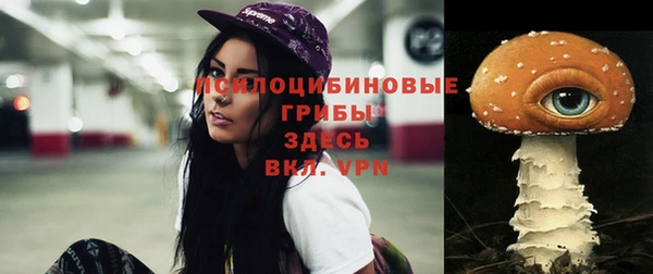 apvp Вязники